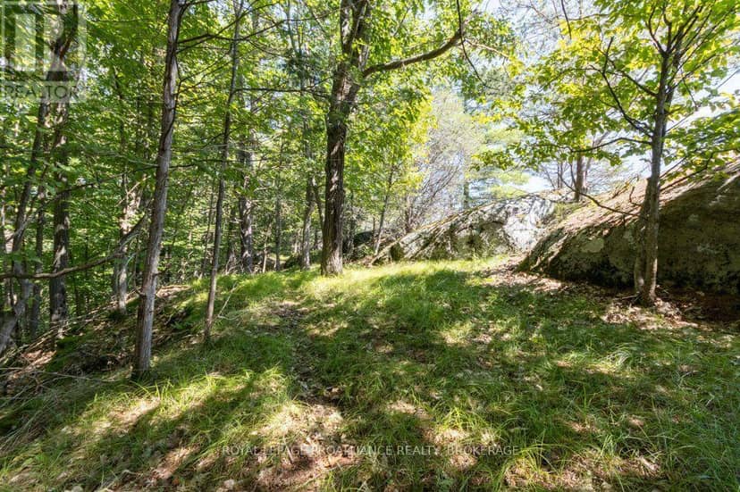 353 Frye Lane — photo 40 of 40