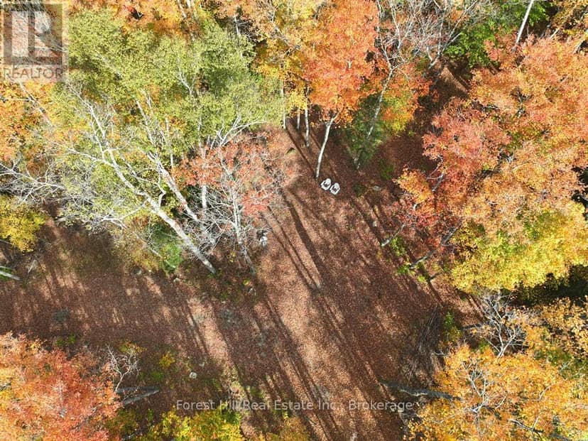 4488 Kawagama Lake Road, Algonquin Highlands