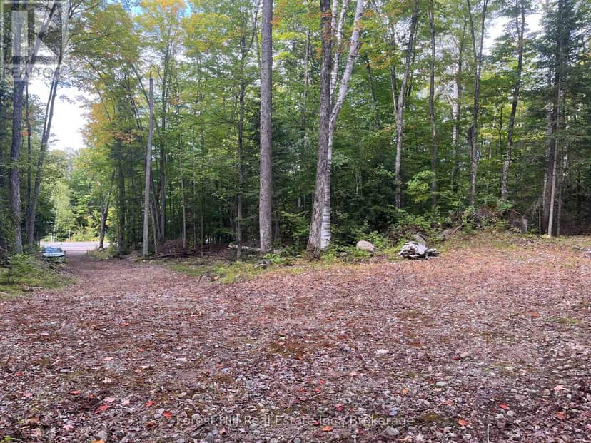 4488 Kawagama Lake Road, Algonquin Highlands, photo 6