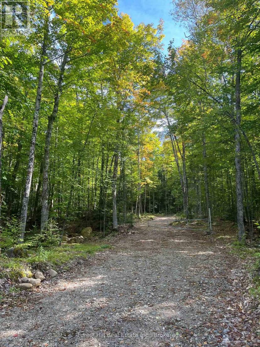 4488 Kawagama Lake Road, Algonquin Highlands, photo 7