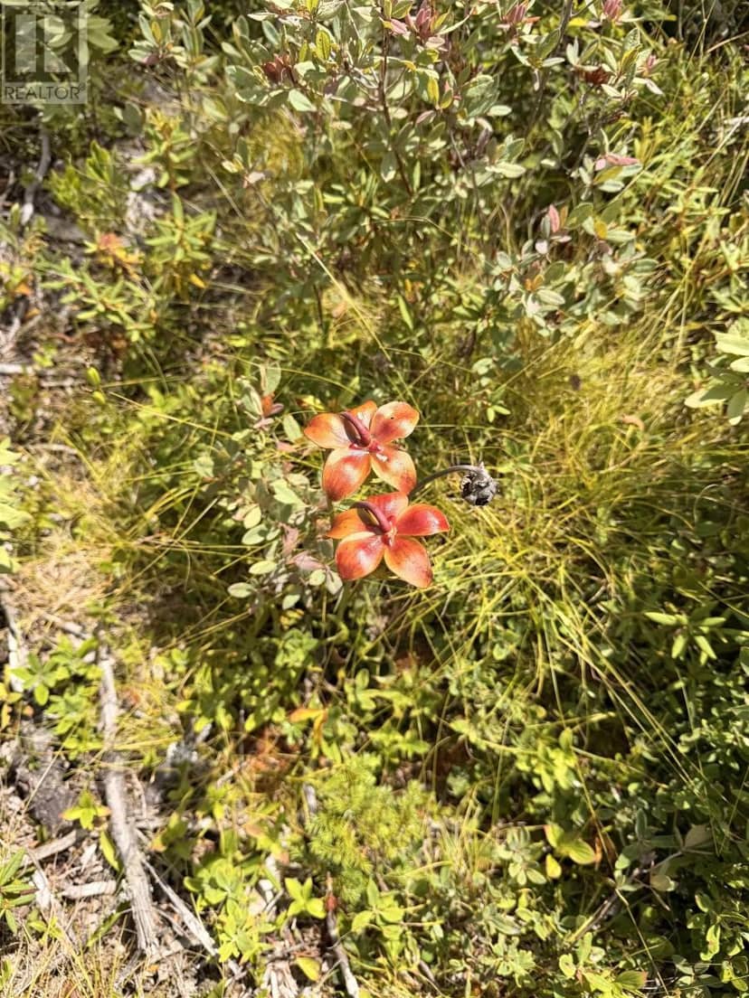 5485/5497 Highway 207 — photo 18 of 21