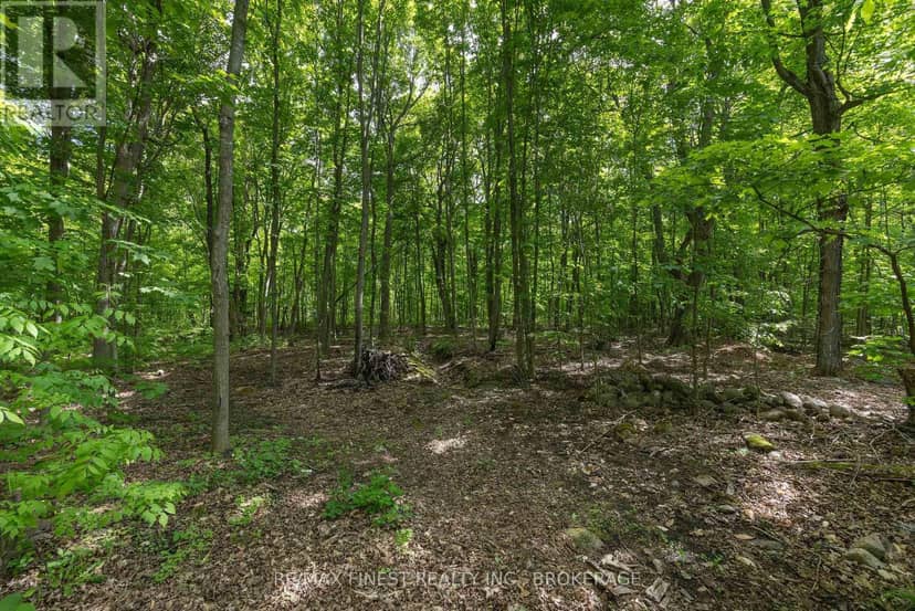 1465 Middle Road — photo 38 of 40