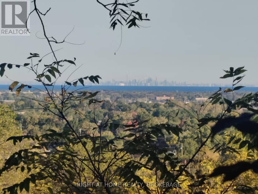 22 Ursula Avenue — photo 11 of 40