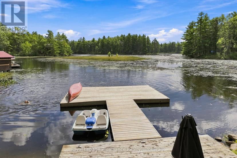 857 West Kosh Road, Havelock-Belmont-Methuen, photo 6