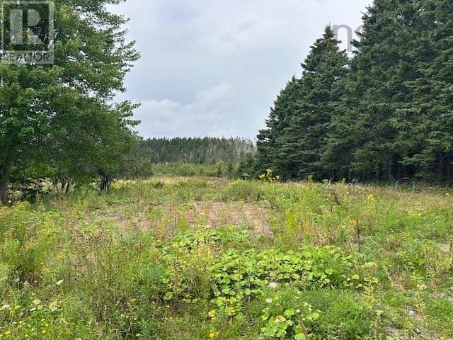 1773 Highway 247 — photo 11 of 11