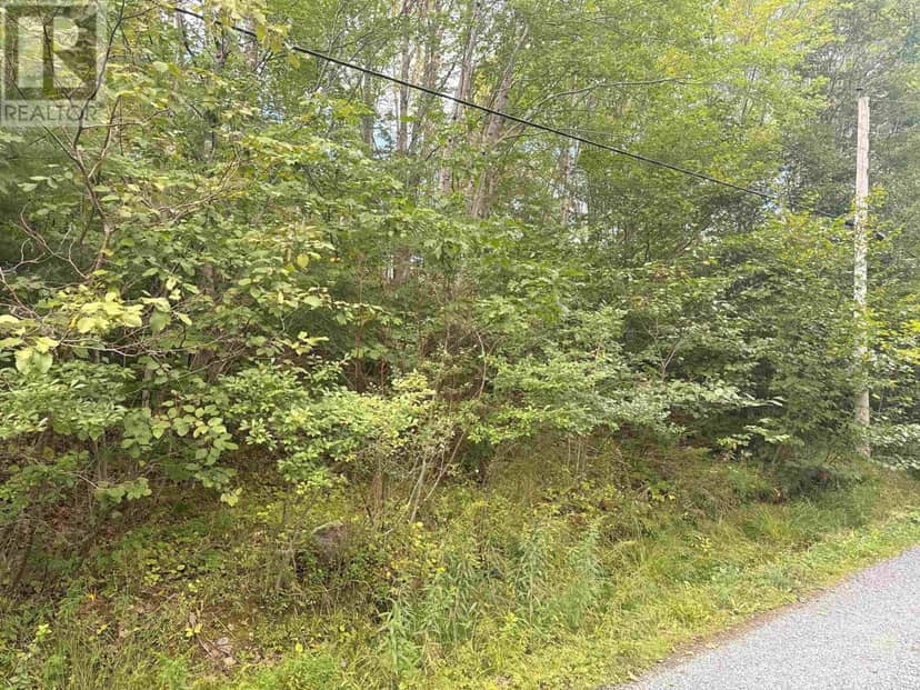 Lot Indian Lake Road — photo 3 of 5
