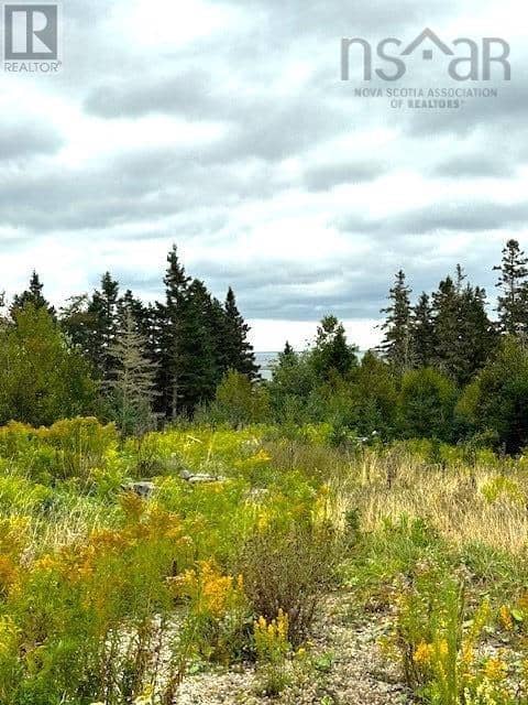 Lots Myra Lane — photo 9 of 12
