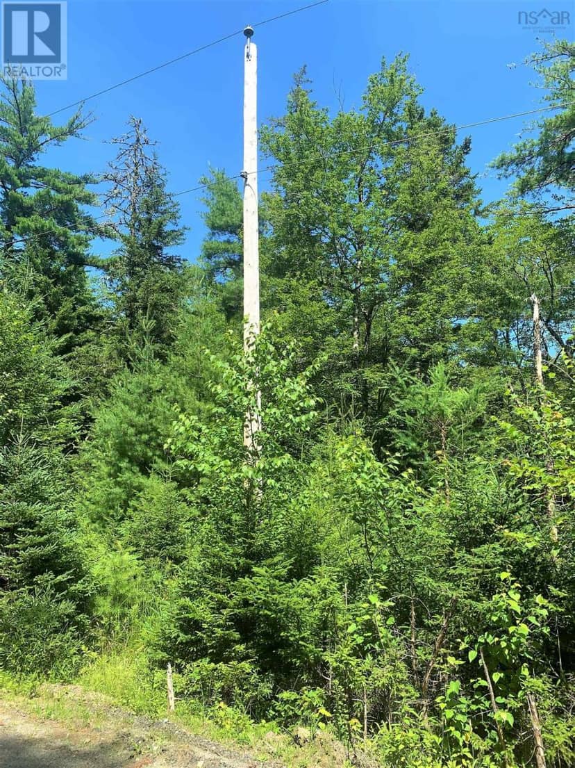 Lot 28, Boutilier Branch Road, Kemptville, photo 8