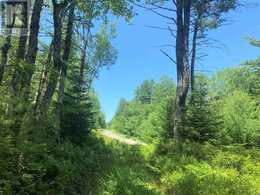 Lot 28, Boutilier Branch Road, Kemptville, photo 7