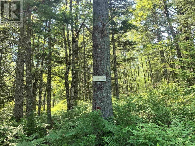 Lot 28, Boutilier Branch Road — photo 9 of 12