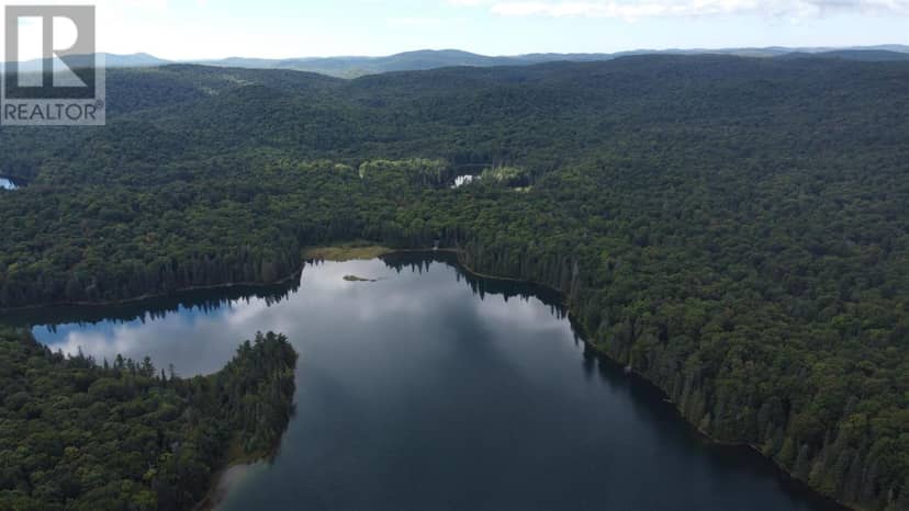 7 Weckstrom Lake — photo 40 of 40