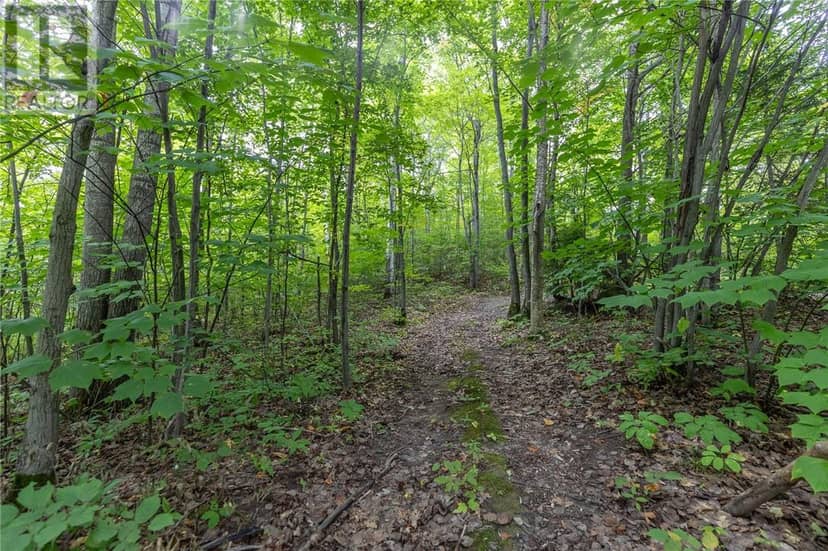 1500 Bass Lake Road — photo 10 of 11