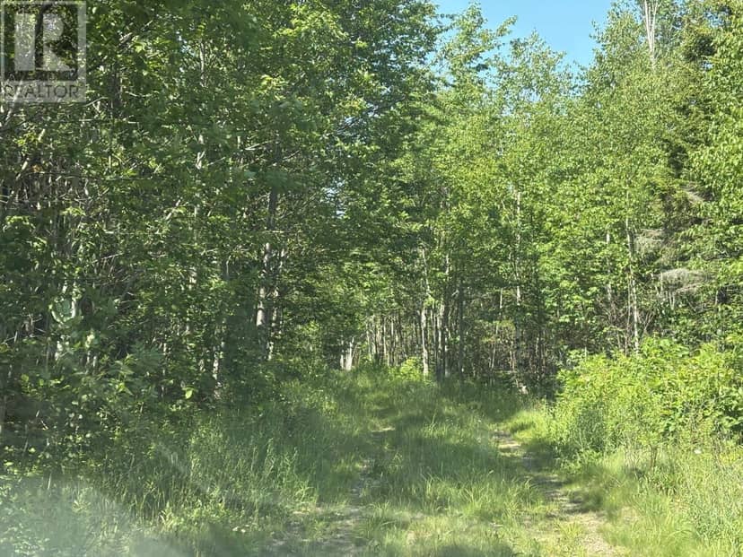 Lot 9 Longley Mountain Road — photo 17 of 35