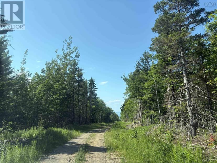 Lot 9 Longley Mountain Road — photo 13 of 35