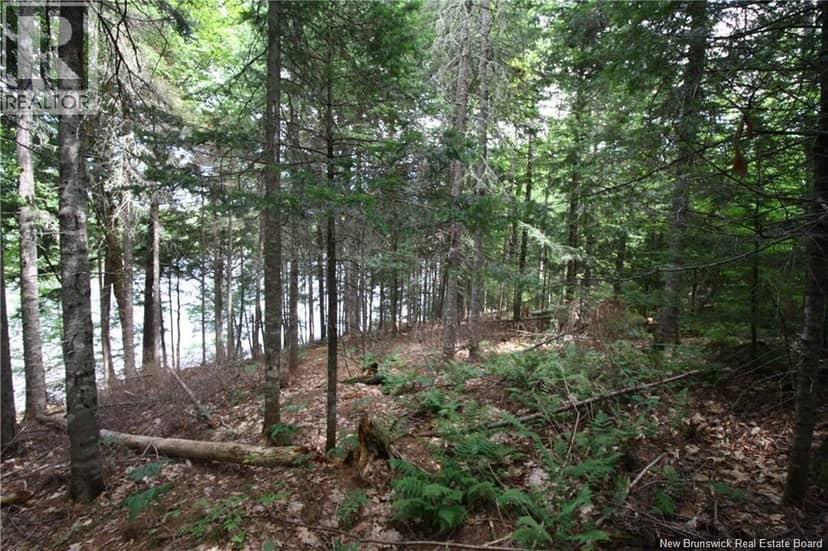 15-60 Bass River Point Road, Bass River, photo 3
