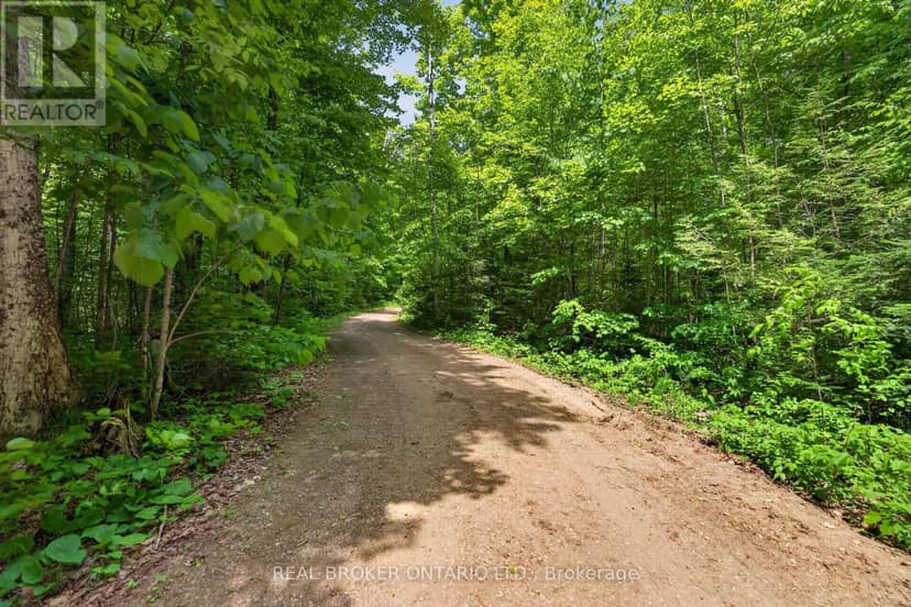 1137 Markinspa Lane — photo 38 of 40
