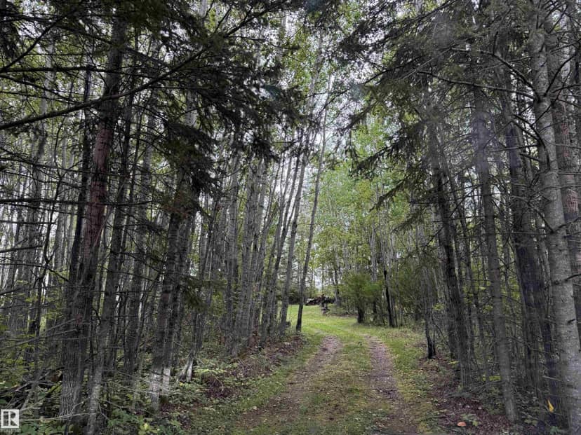 147 David DR, Rural Athabasca County, photo 3