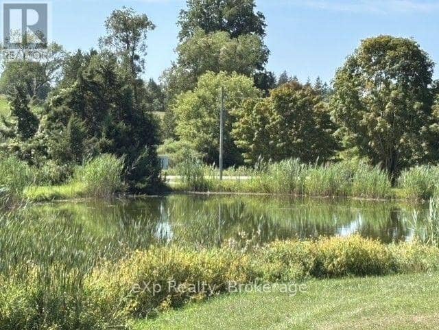 4 - 230 4 Concession — photo 36 of 40