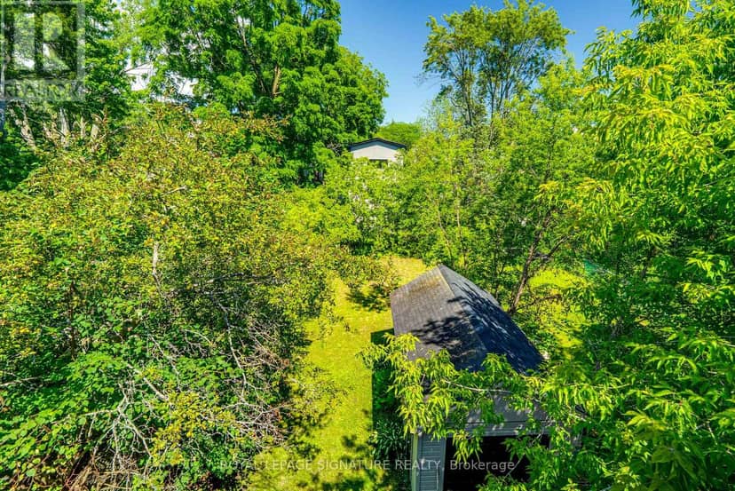 293 Albert Street — photo 18 of 29
