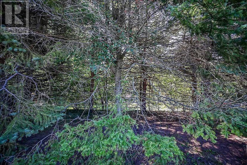57 Turnbull Road — photo 25 of 29