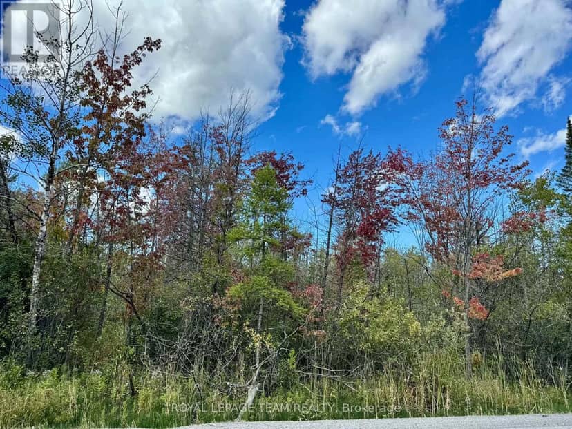 00 Richardson Side Road — photo 17 of 21