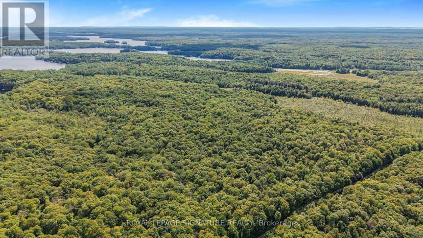 Lt 19-20 Con 1 Medora, Muskoka Lakes, photo 2