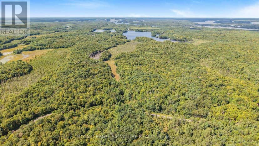 Lt 19-20 Con 1 Medora, Muskoka Lakes, photo 3