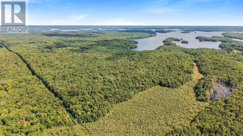 Lt 19-20 Con 1 Medora, Muskoka Lakes, photo 7