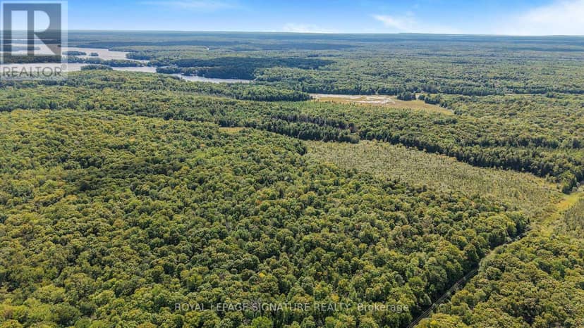 Lt 19-20 Con 1 Medora, Muskoka Lakes, photo 8
