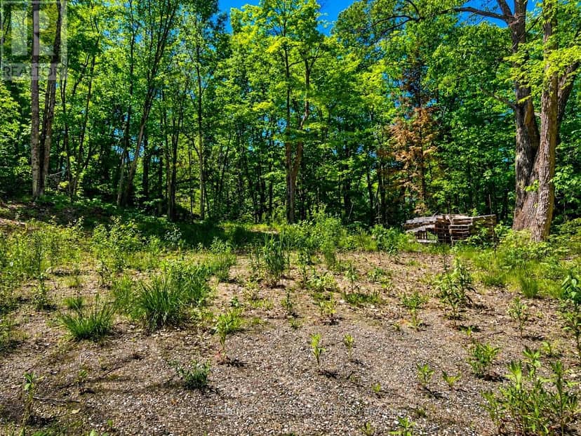 0 Buckshot Lake Road — photo 13 of 20