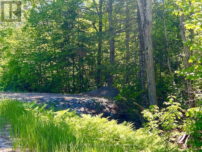00 Buckshot Lake Road, Addington Highlands