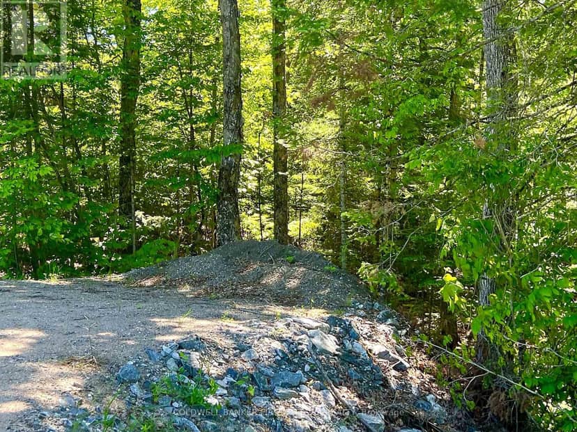 00 Buckshot Lake Road, Addington Highlands, photo 2