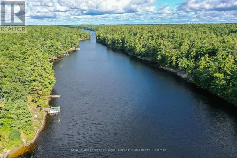 23 Nine Mile Lake, Muskoka Lakes, photo 2