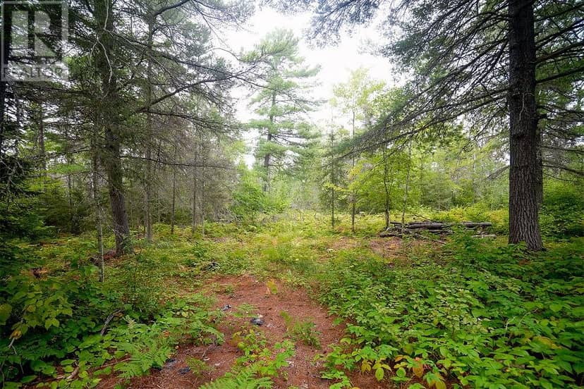 556 Lorne Falls, Greater Sudbury, photo 6