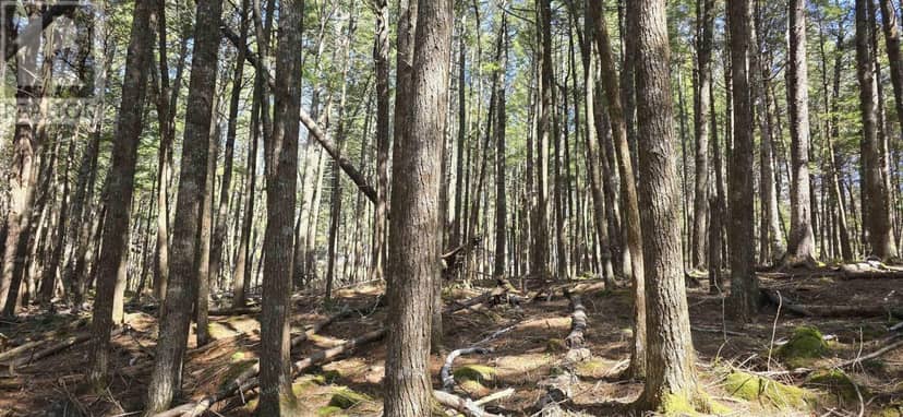 Lot 3 Beaver Row, Labelle, photo 3