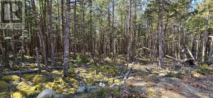 Lot 3 Beaver Row — photo 23 of 23