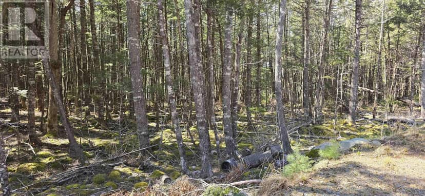 Lot 3 Beaver Row — photo 20 of 23
