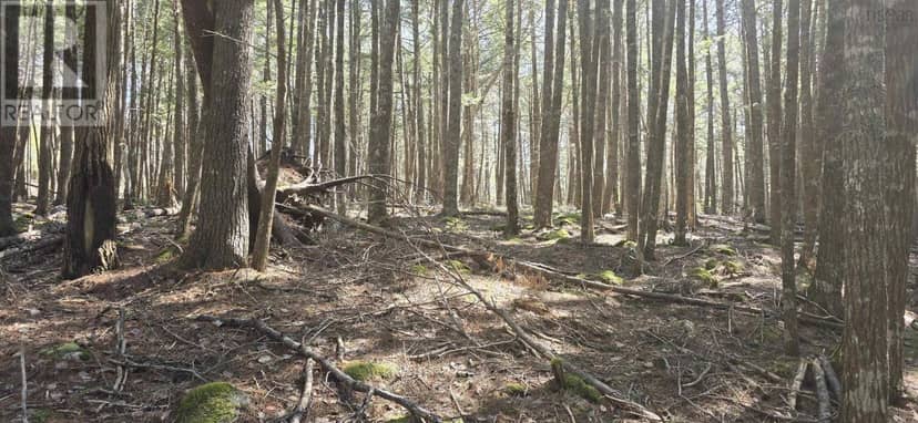 Lot 3 Beaver Row, Labelle, photo 6