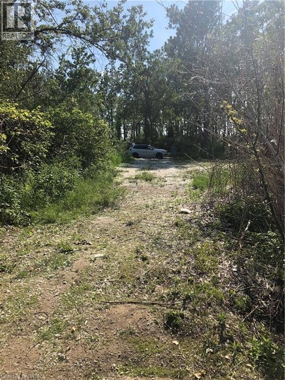 23 OLD CUT Boulevard, Long Point, photo 8