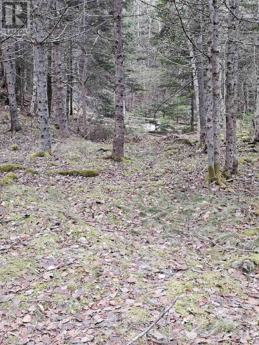 Lot Forest Glade Road — photo 6 of 16
