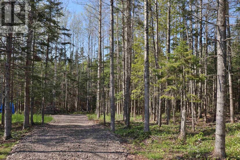 Lot Forest Glade Road — photo 4 of 16