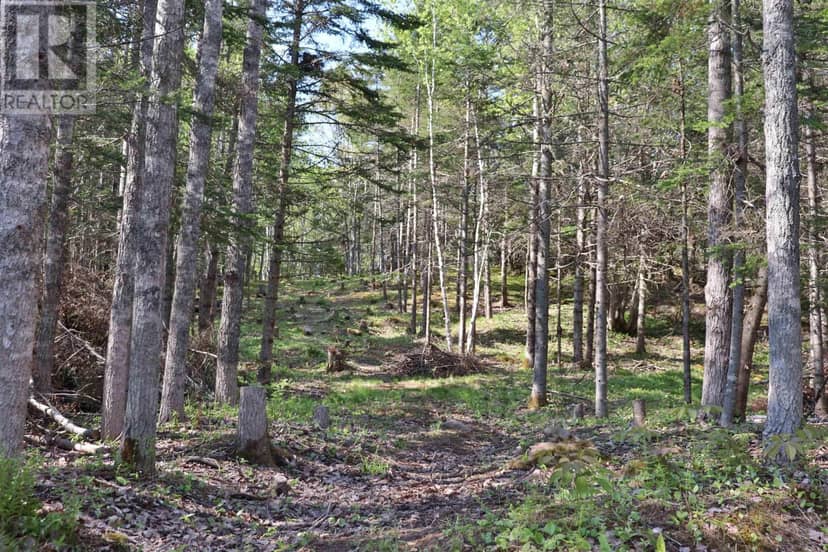 Lot Forest Glade Road — photo 7 of 16