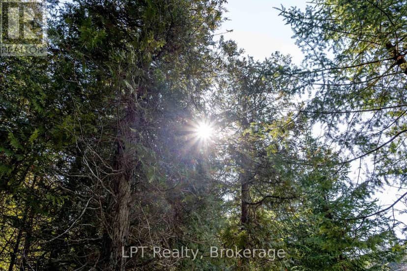 Pt Lt 24 Spry Shore Road, Northern Bruce Peninsula, photo 6