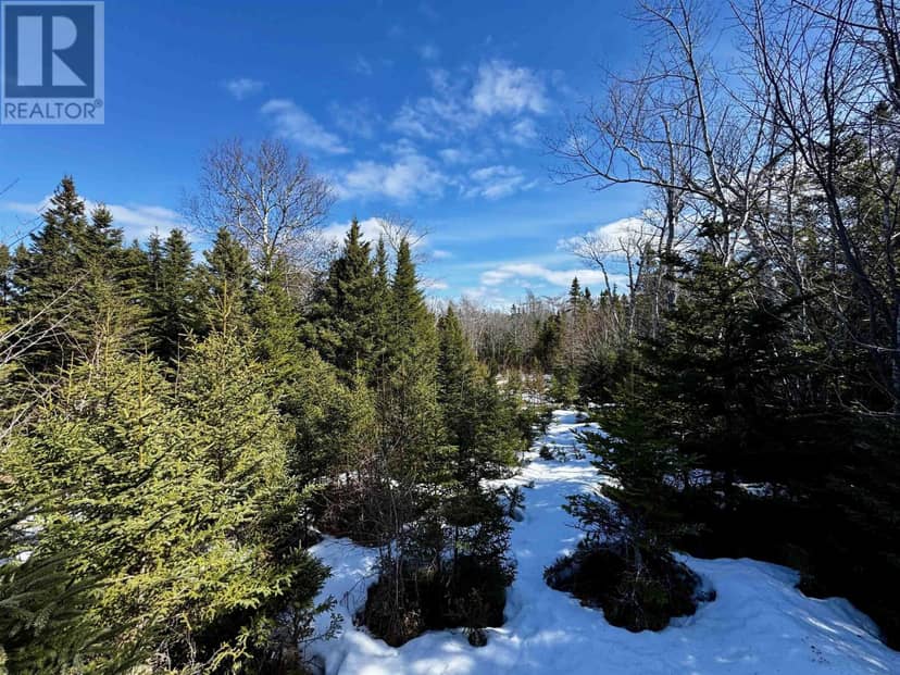 Maple Drive — photo 13 of 17