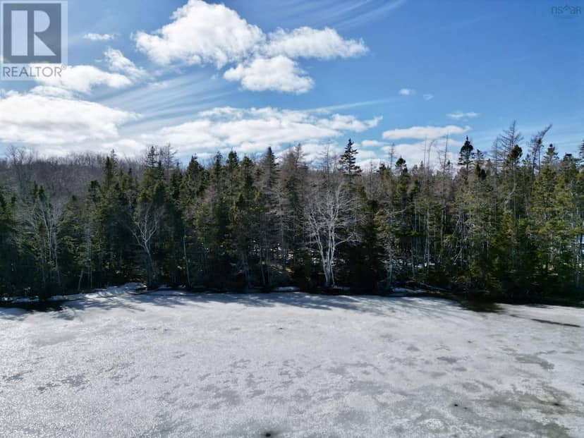Maple Drive — photo 15 of 17