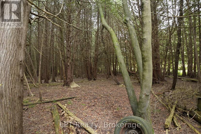 Pt Lt 48-50 Crawford Road — photo 14 of 28