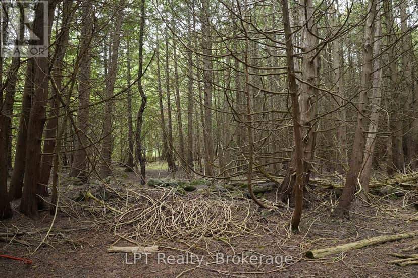 Pt Lt 48-50 Crawford Road — photo 15 of 28