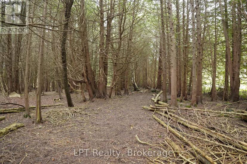 Pt Lt 48-50 Crawford Road — photo 16 of 28