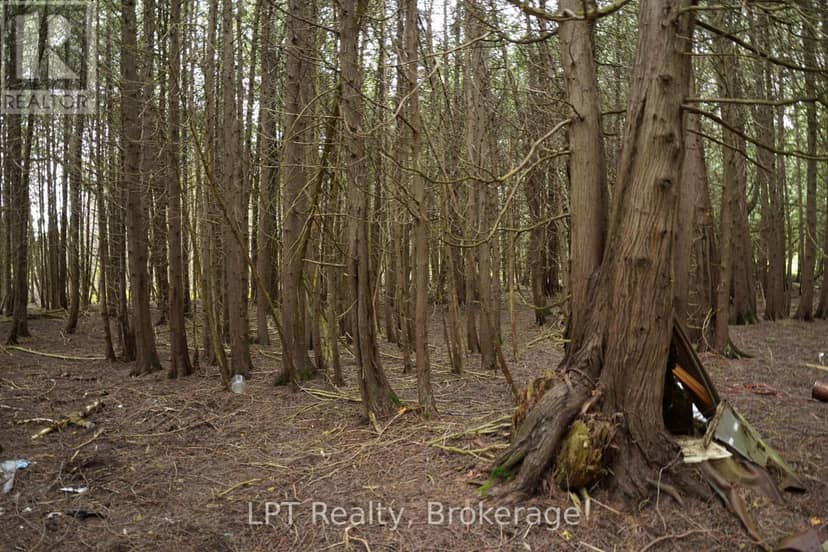Pt Lt 48-50 Crawford Road — photo 21 of 28