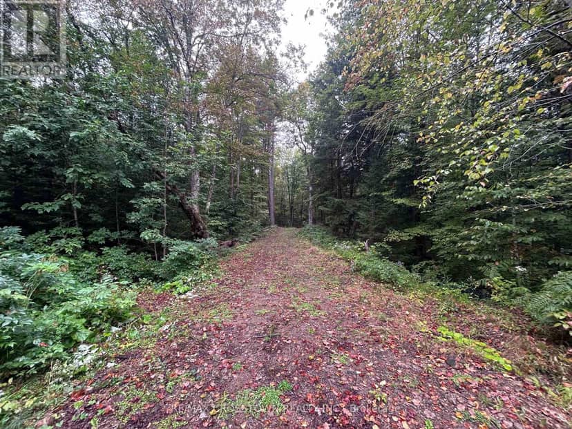 0 Queens Line Road, Minden Hills, photo 5